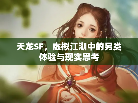 天龙SF，虚拟江湖中的另类体验与现实思考