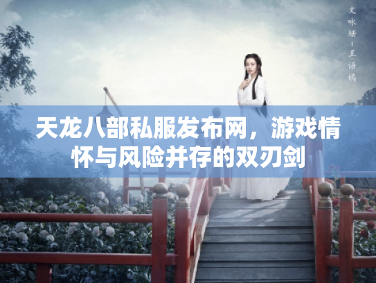 天龙八部私服发布网，游戏情怀与风险并存的双刃剑