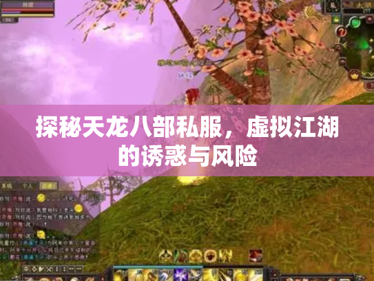 探秘天龙八部私服，虚拟江湖的诱惑与风险