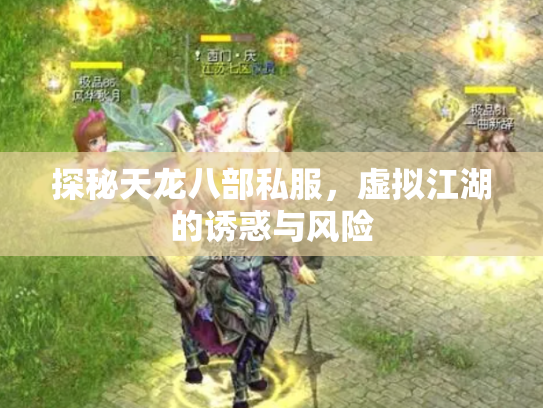 探秘天龙八部私服，虚拟江湖的诱惑与风险
