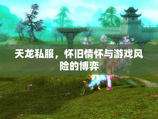 天龙私服，怀旧情怀与游戏风险的博弈