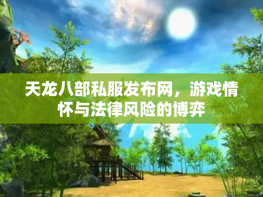 天龙八部私服发布网，游戏情怀与法律风险的博弈