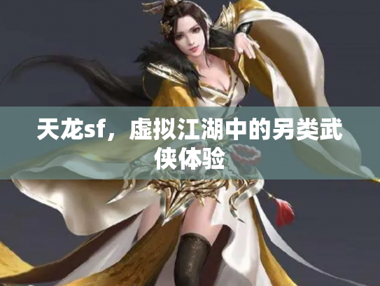 天龙sf，虚拟江湖中的另类武侠体验