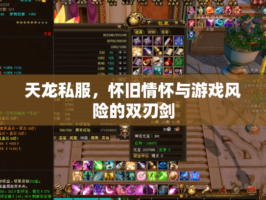 天龙私服，怀旧情怀与游戏风险的双刃剑