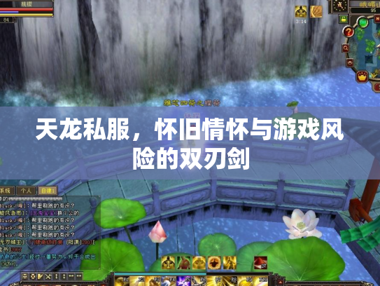 天龙私服，怀旧情怀与游戏风险的双刃剑