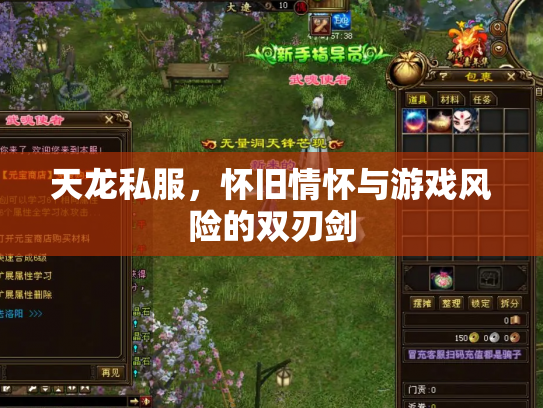 天龙私服，怀旧情怀与游戏风险的双刃剑
