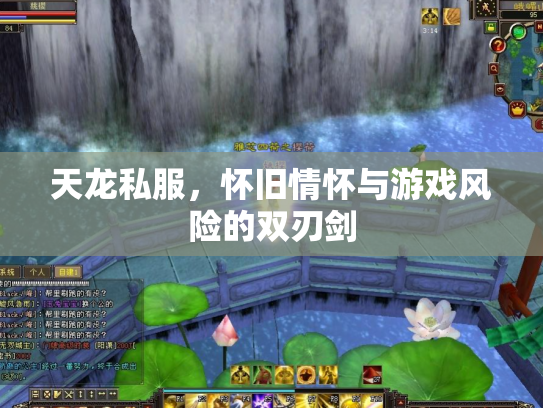 天龙私服，怀旧情怀与游戏风险的双刃剑