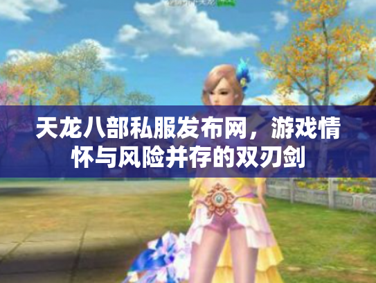 天龙八部私服发布网，游戏情怀与风险并存的双刃剑
