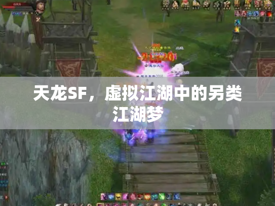 天龙SF，虚拟江湖中的另类江湖梦
