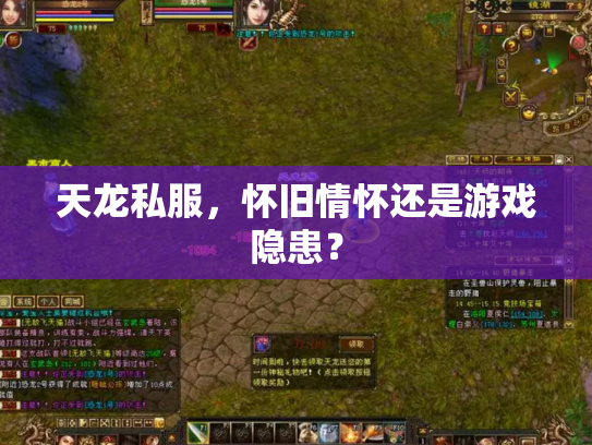 天龙私服，怀旧情怀还是游戏隐患？