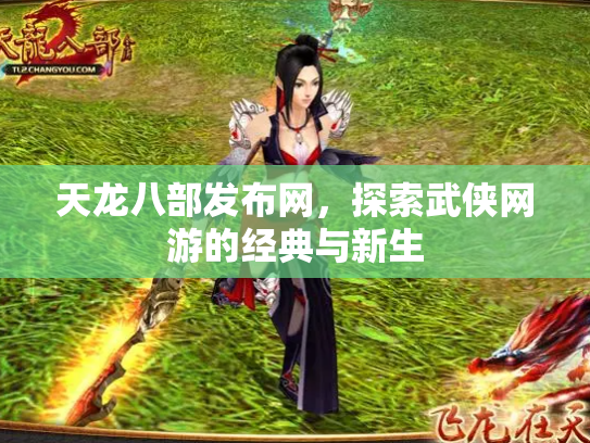 天龙八部发布网，探索武侠网游的经典与新生