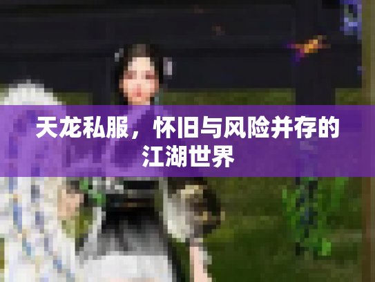天龙私服，怀旧与风险并存的江湖世界