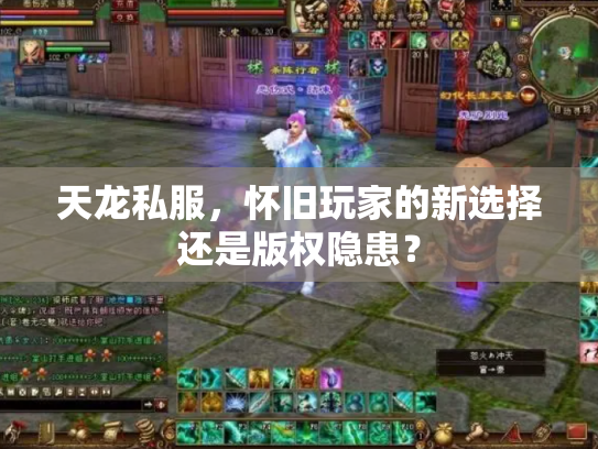 天龙私服，怀旧玩家的新选择还是版权隐患？