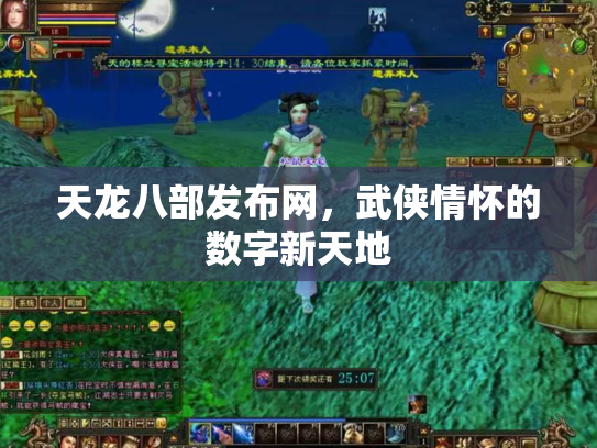 天龙八部发布网，武侠情怀的数字新天地
