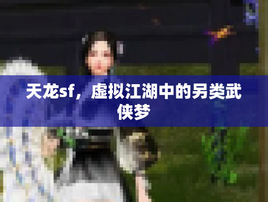 天龙sf，虚拟江湖中的另类武侠梦