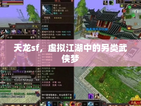 天龙sf，虚拟江湖中的另类武侠梦