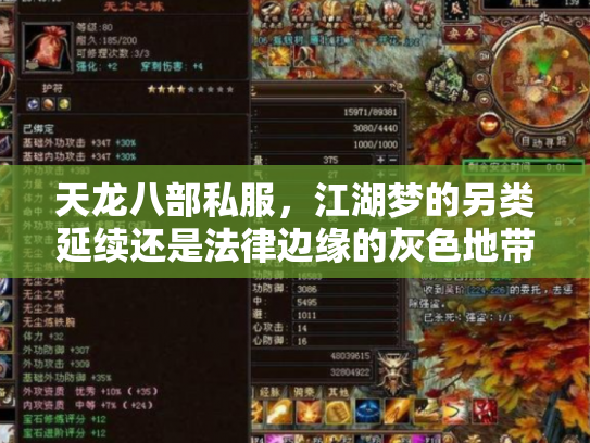 天龙八部私服，江湖梦的另类延续还是法律边缘的灰色地带？