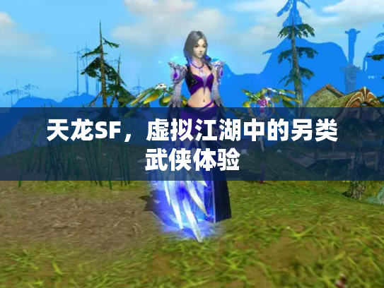 天龙SF，虚拟江湖中的另类武侠体验