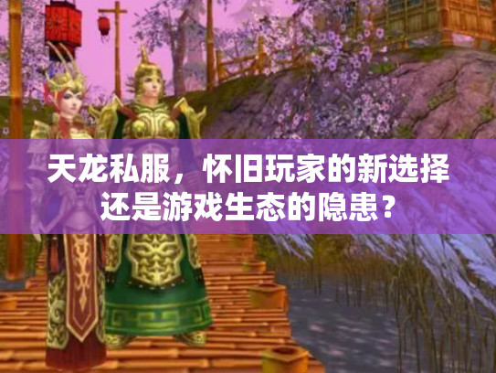 天龙私服，怀旧玩家的新选择还是游戏生态的隐患？