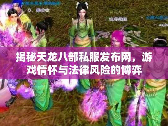 揭秘天龙八部私服发布网，游戏情怀与法律风险的博弈