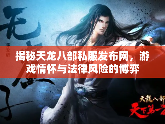 揭秘天龙八部私服发布网，游戏情怀与法律风险的博弈