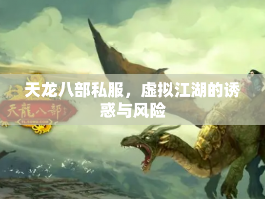 天龙八部私服，虚拟江湖的诱惑与风险
