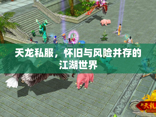 天龙私服，怀旧与风险并存的江湖世界