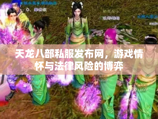 天龙八部私服发布网，游戏情怀与法律风险的博弈