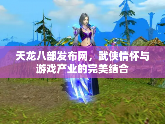 天龙八部发布网，武侠情怀与游戏产业的完美结合