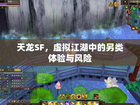 天龙SF，虚拟江湖中的另类体验与风险