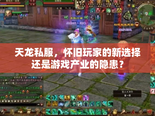 天龙私服，怀旧玩家的新选择还是游戏产业的隐患？