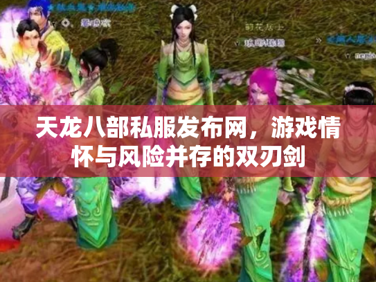 天龙八部私服发布网，游戏情怀与风险并存的双刃剑