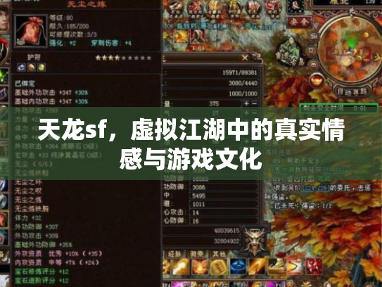天龙sf，虚拟江湖中的真实情感与游戏文化