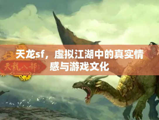 天龙sf，虚拟江湖中的真实情感与游戏文化