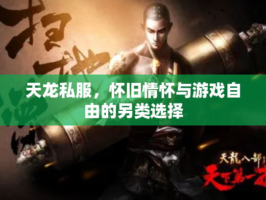 天龙私服，怀旧情怀与游戏自由的另类选择