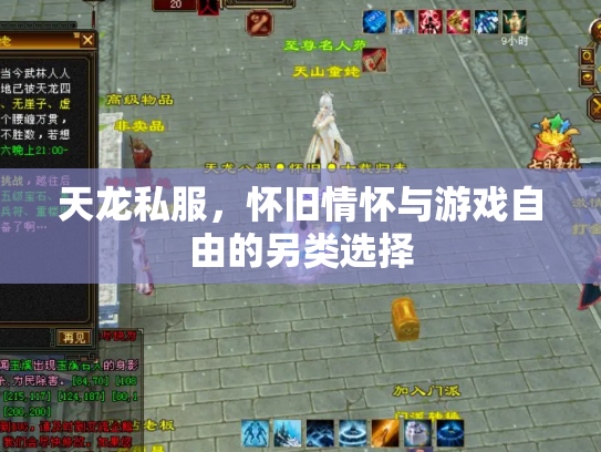 天龙私服，怀旧情怀与游戏自由的另类选择