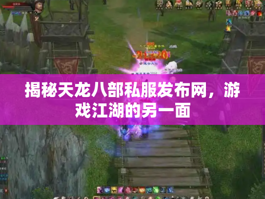 揭秘天龙八部私服发布网，游戏江湖的另一面