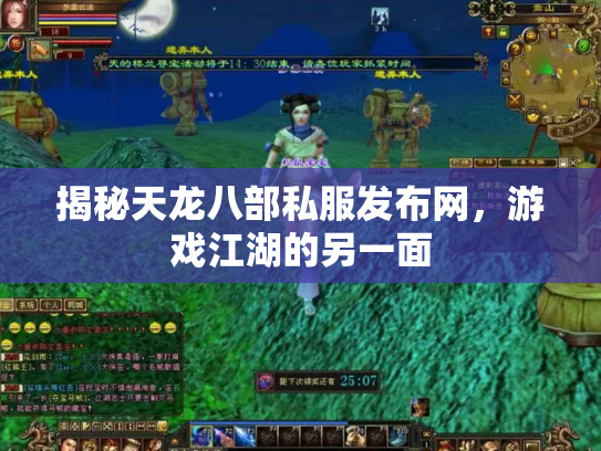 揭秘天龙八部私服发布网，游戏江湖的另一面