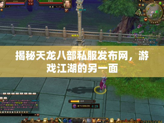 揭秘天龙八部私服发布网，游戏江湖的另一面