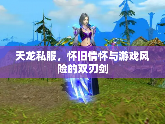 天龙私服，怀旧情怀与游戏风险的双刃剑
