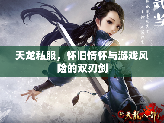 天龙私服，怀旧情怀与游戏风险的双刃剑