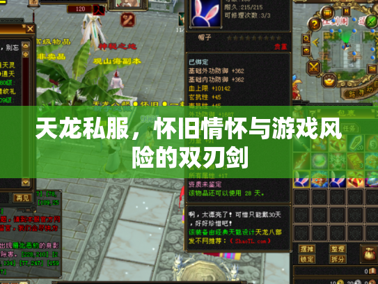 天龙私服，怀旧情怀与游戏风险的双刃剑