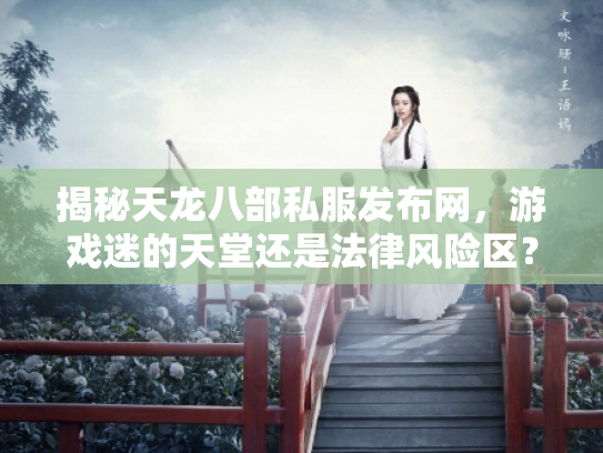 揭秘天龙八部私服发布网，游戏迷的天堂还是法律风险区？