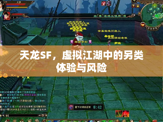 天龙SF，虚拟江湖中的另类体验与风险