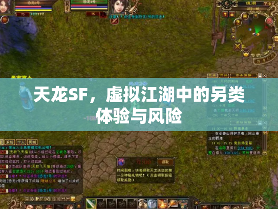 天龙SF，虚拟江湖中的另类体验与风险
