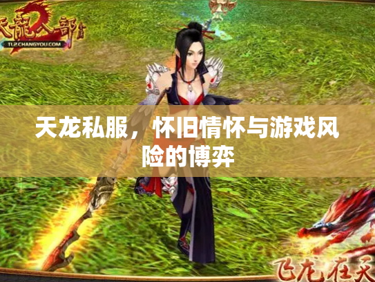 天龙私服，怀旧情怀与游戏风险的博弈