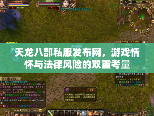 天龙八部私服发布网，游戏情怀与法律风险的双重考量