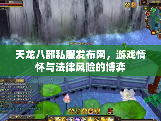 天龙八部私服发布网，游戏情怀与法律风险的博弈