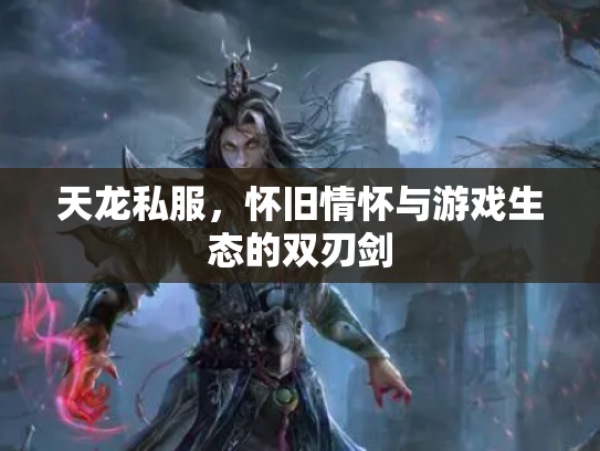 天龙私服，怀旧情怀与游戏生态的双刃剑