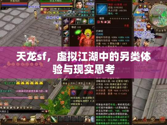 天龙sf，虚拟江湖中的另类体验与现实思考